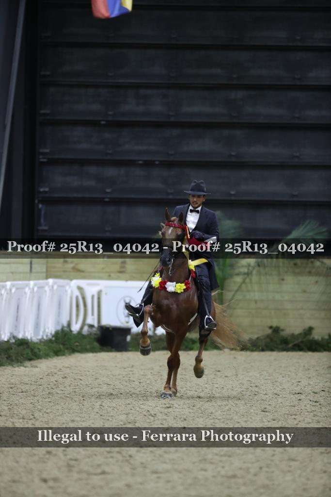 Proof Number 25R13_04042