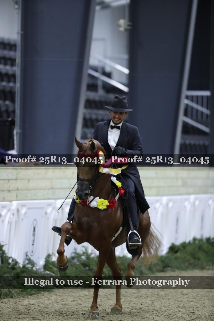 Proof Number 25R13_04045
