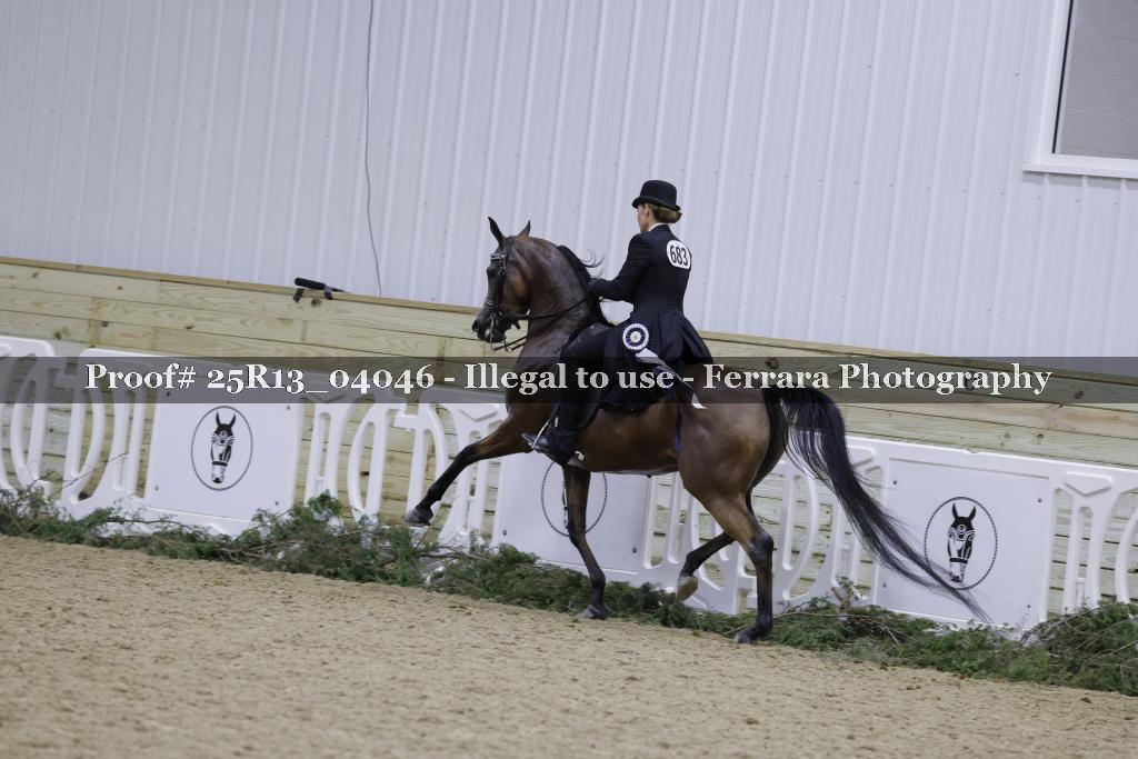 Proof Number 25R13_04046