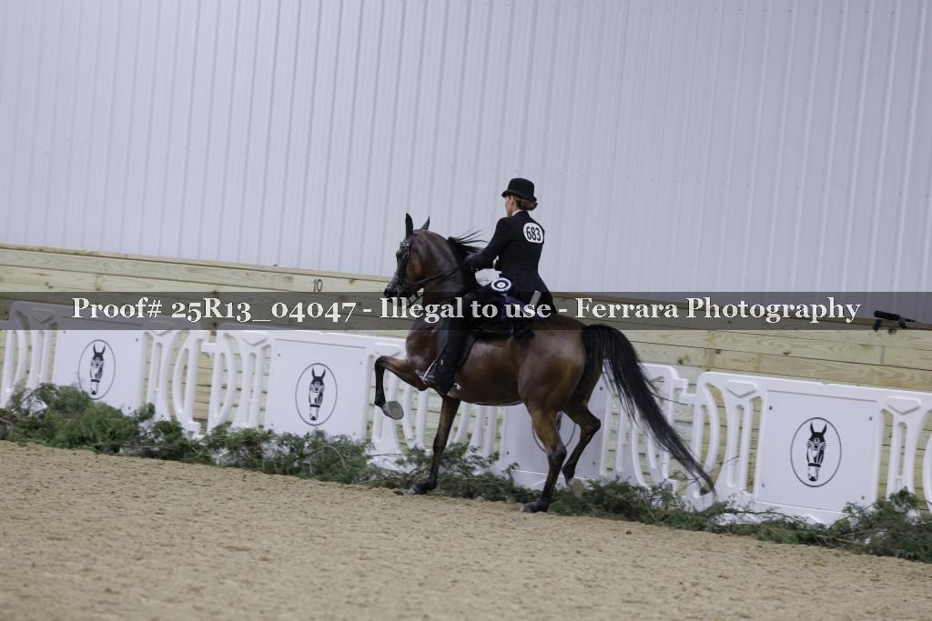 Proof Number 25R13_04047