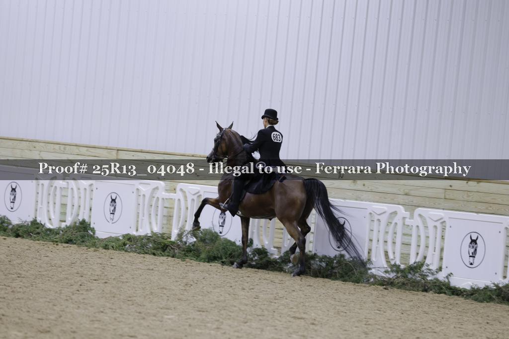 Proof Number 25R13_04048