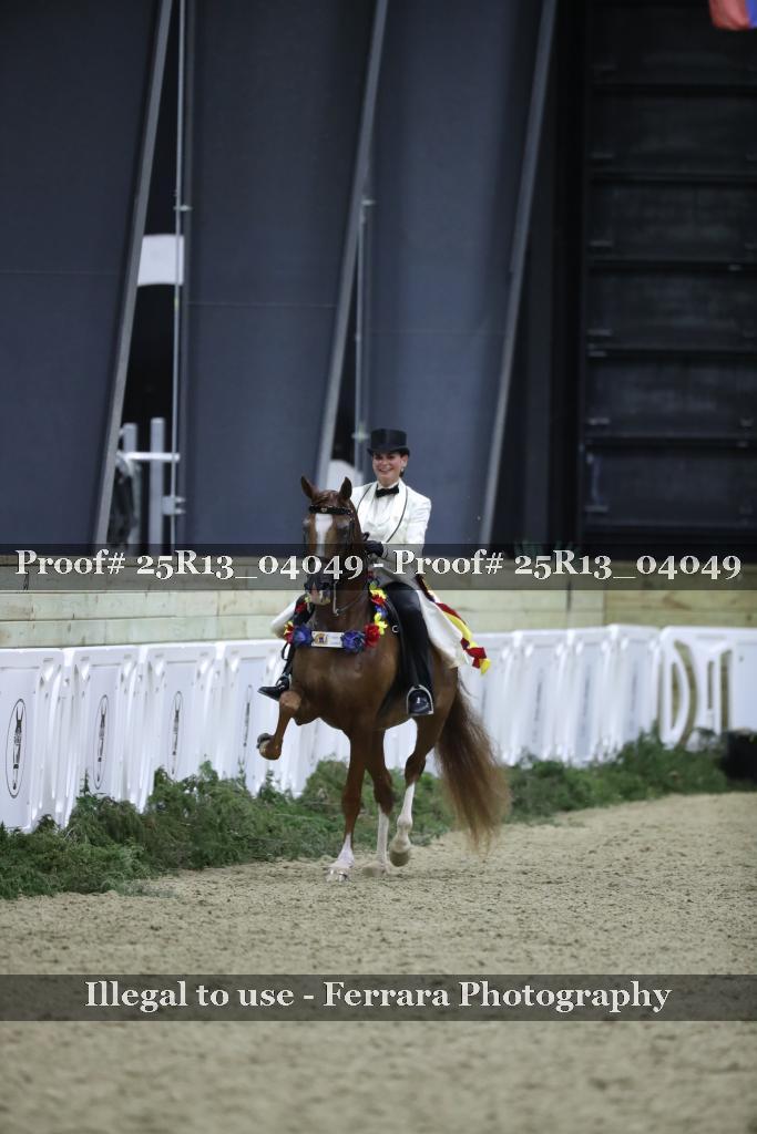 Proof Number 25R13_04049