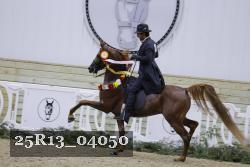 25R13_04050 thumbnail