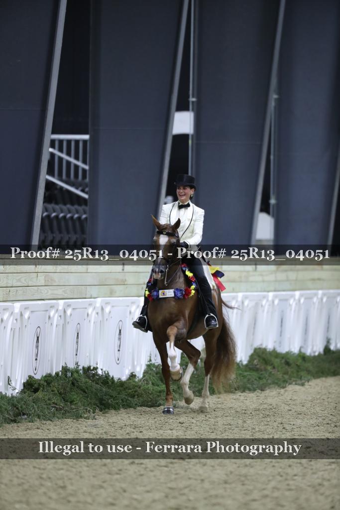 Proof Number 25R13_04051