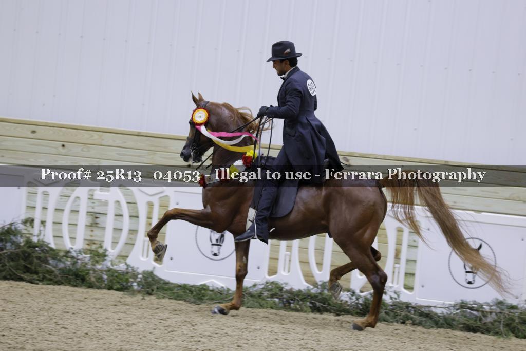 Proof Number 25R13_04053