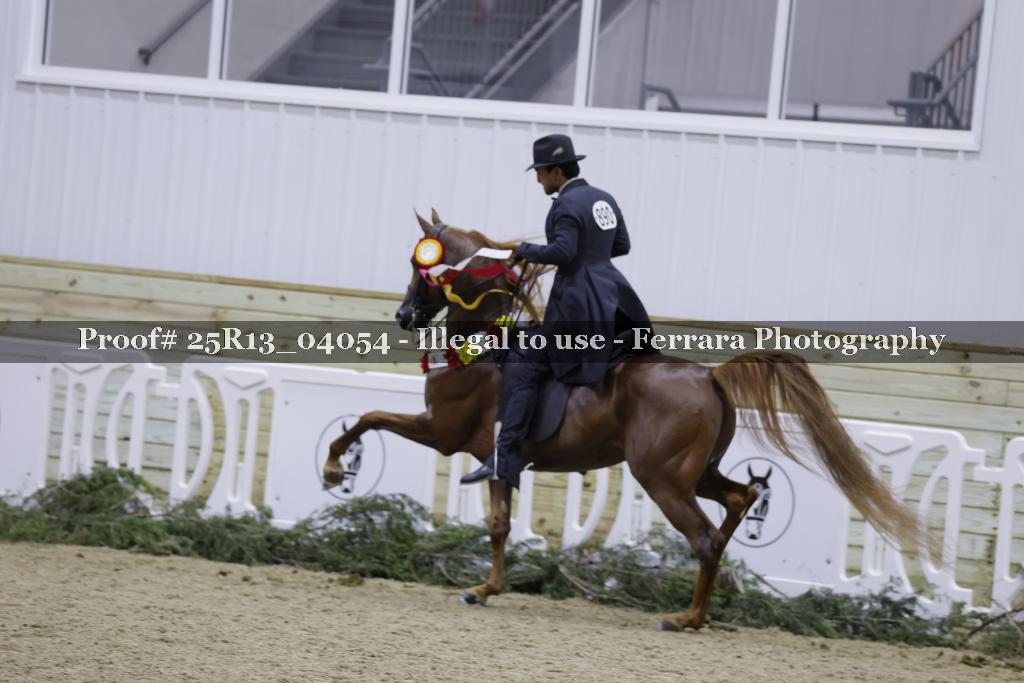 Proof Number 25R13_04054
