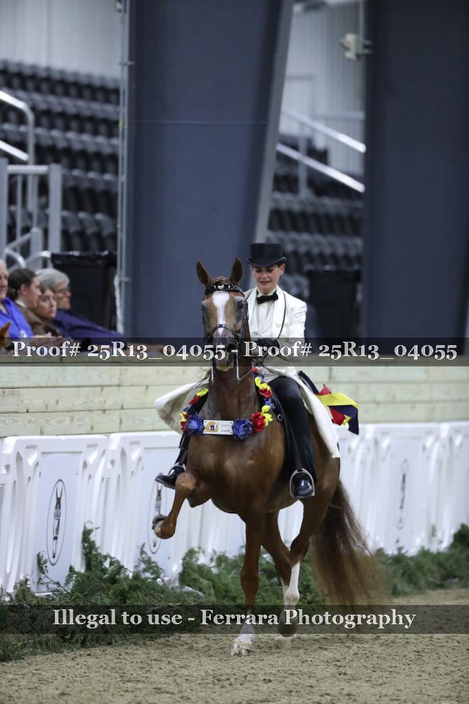 Proof Number 25R13_04055