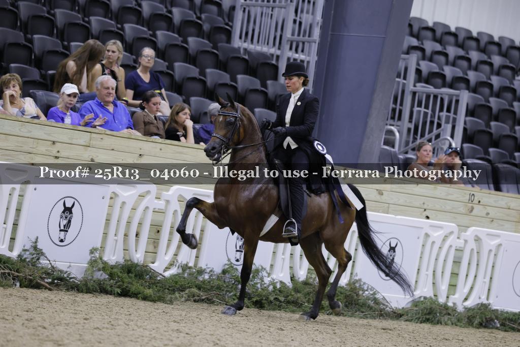 Proof Number 25R13_04060