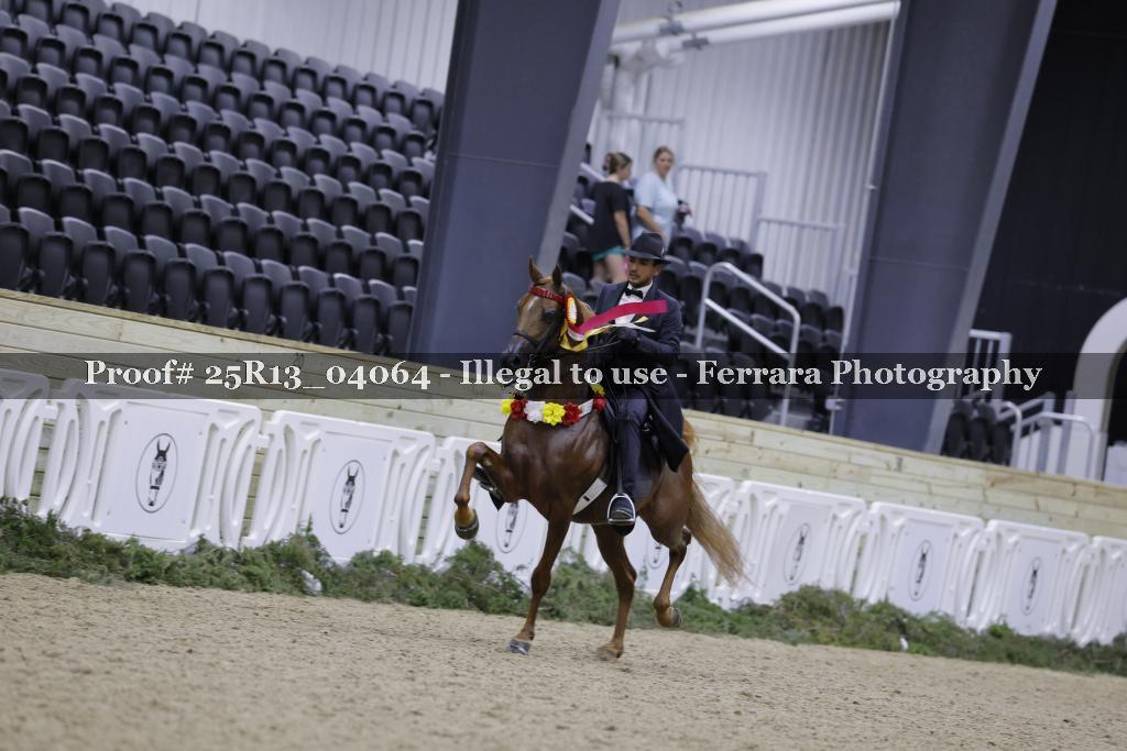 Proof Number 25R13_04064