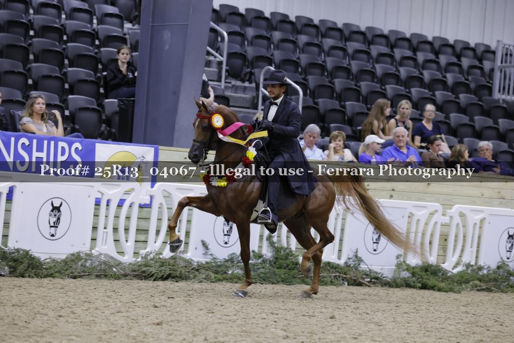 Proof Number 25R13_04067
