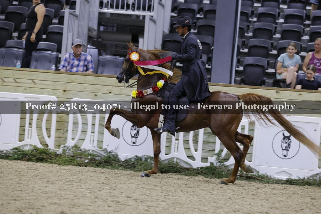 Proof Number 25R13_04071