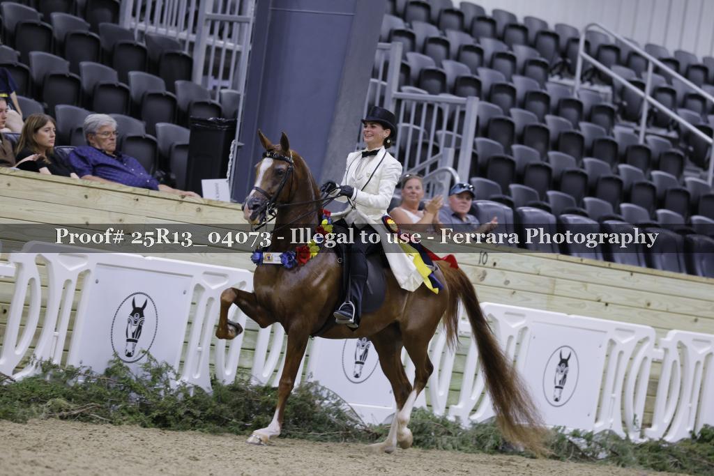 Proof Number 25R13_04073