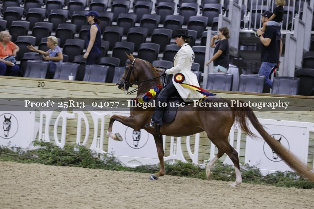 Proof Number 25R13_04077
