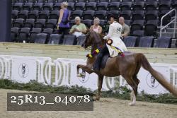 25R13_04078 thumbnail