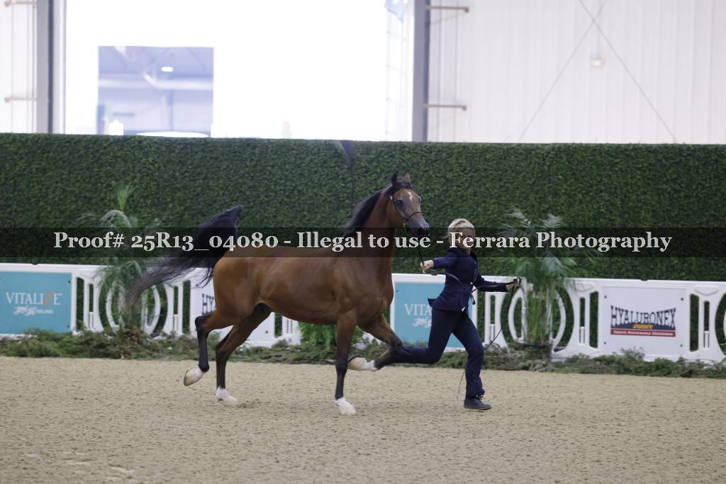 Proof Number 25R13_04080