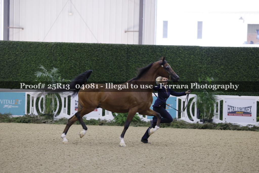 Proof Number 25R13_04081