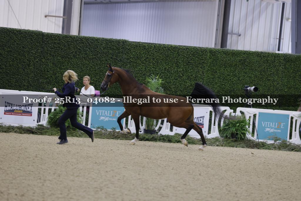 Proof Number 25R13_04082