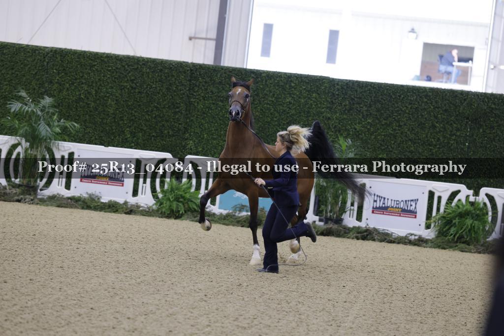 Proof Number 25R13_04084