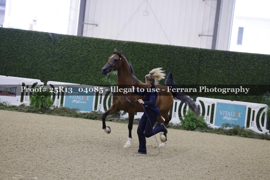 Proof Number 25R13_04085