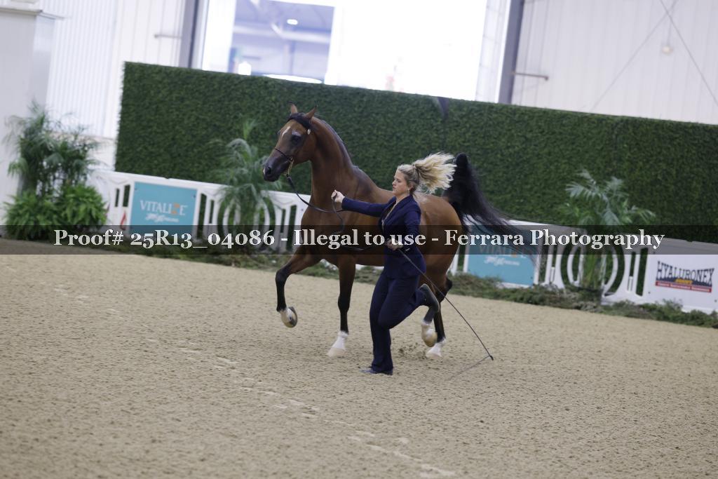 Proof Number 25R13_04086