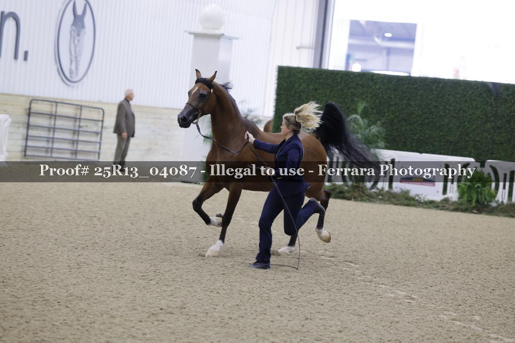 Proof Number 25R13_04087