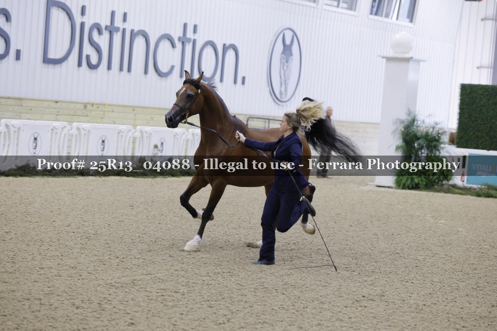 Proof Number 25R13_04088