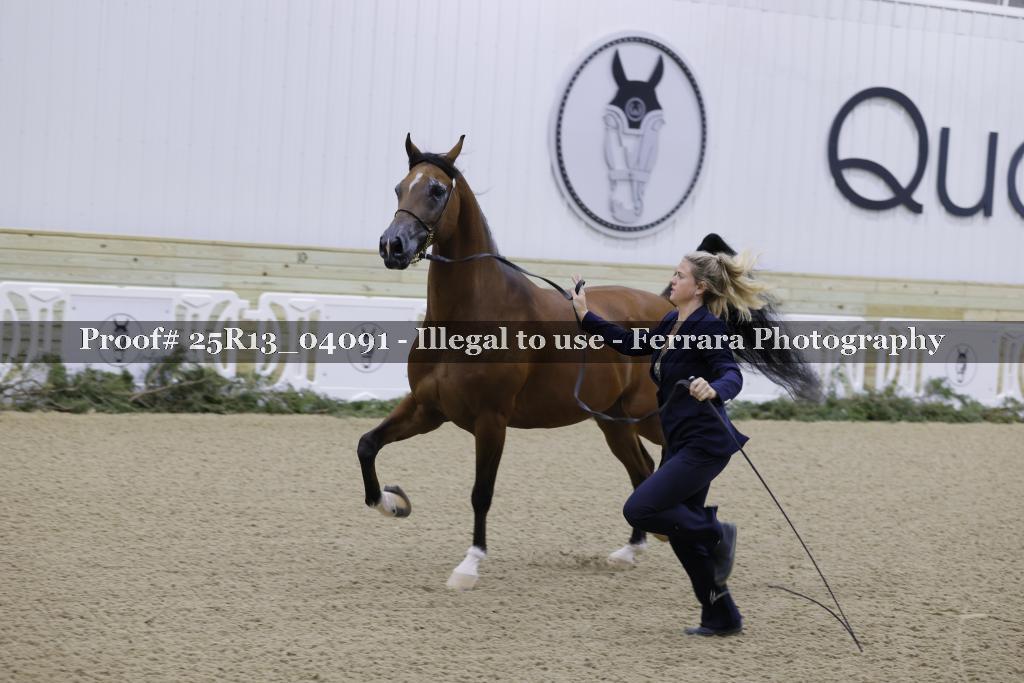 Proof Number 25R13_04091