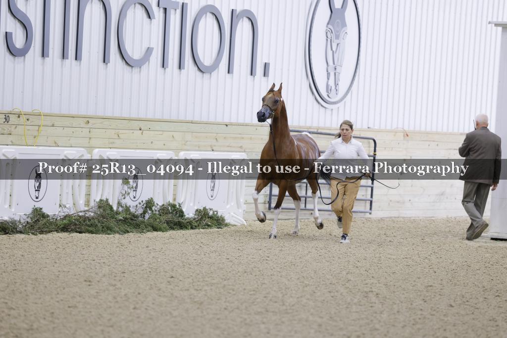 Proof Number 25R13_04094