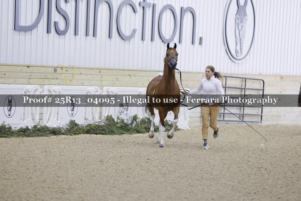 Proof Number 25R13_04095