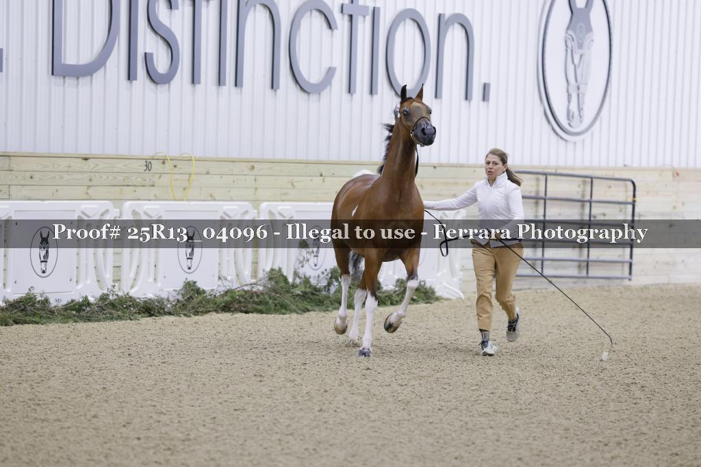 Proof Number 25R13_04096