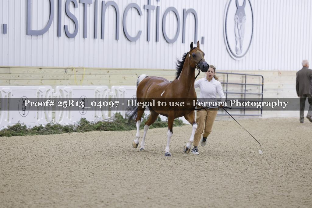 Proof Number 25R13_04097