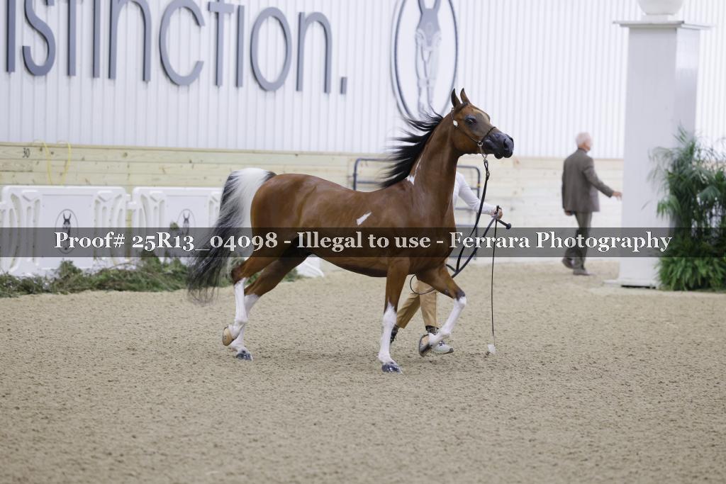 Proof Number 25R13_04098
