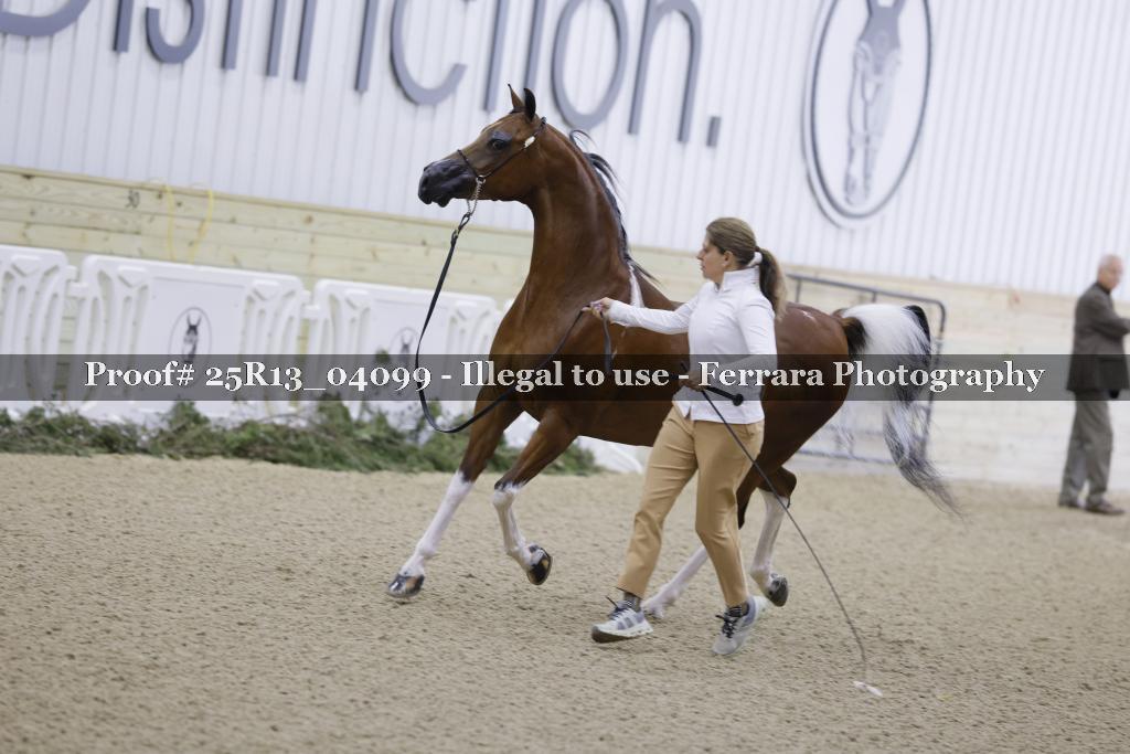 Proof Number 25R13_04099
