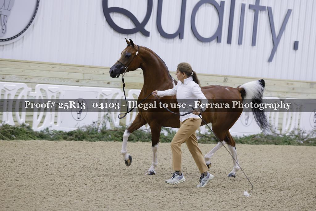 Proof Number 25R13_04103