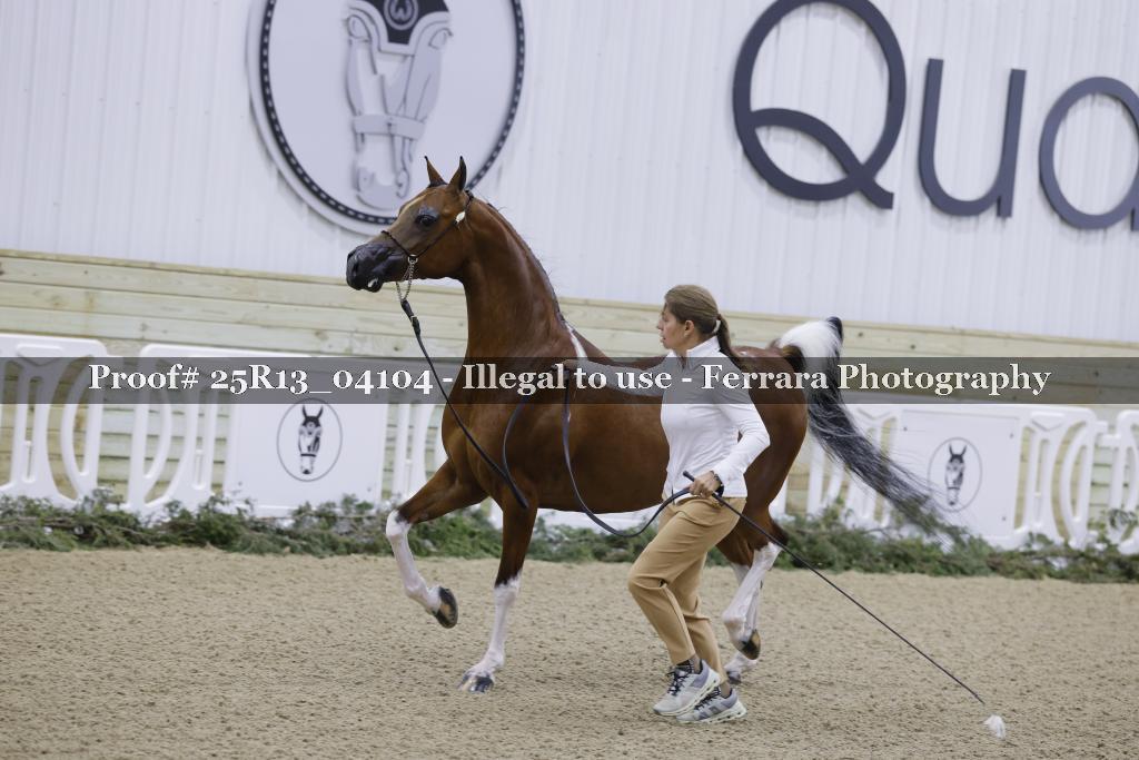 Proof Number 25R13_04104