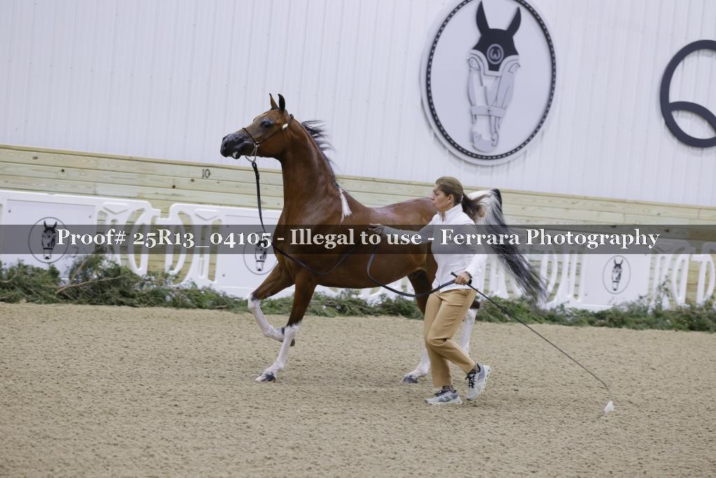 Proof Number 25R13_04105