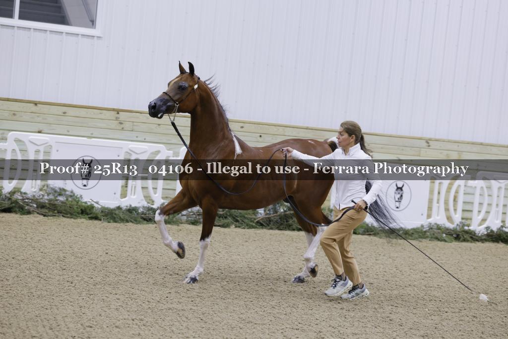 Proof Number 25R13_04106