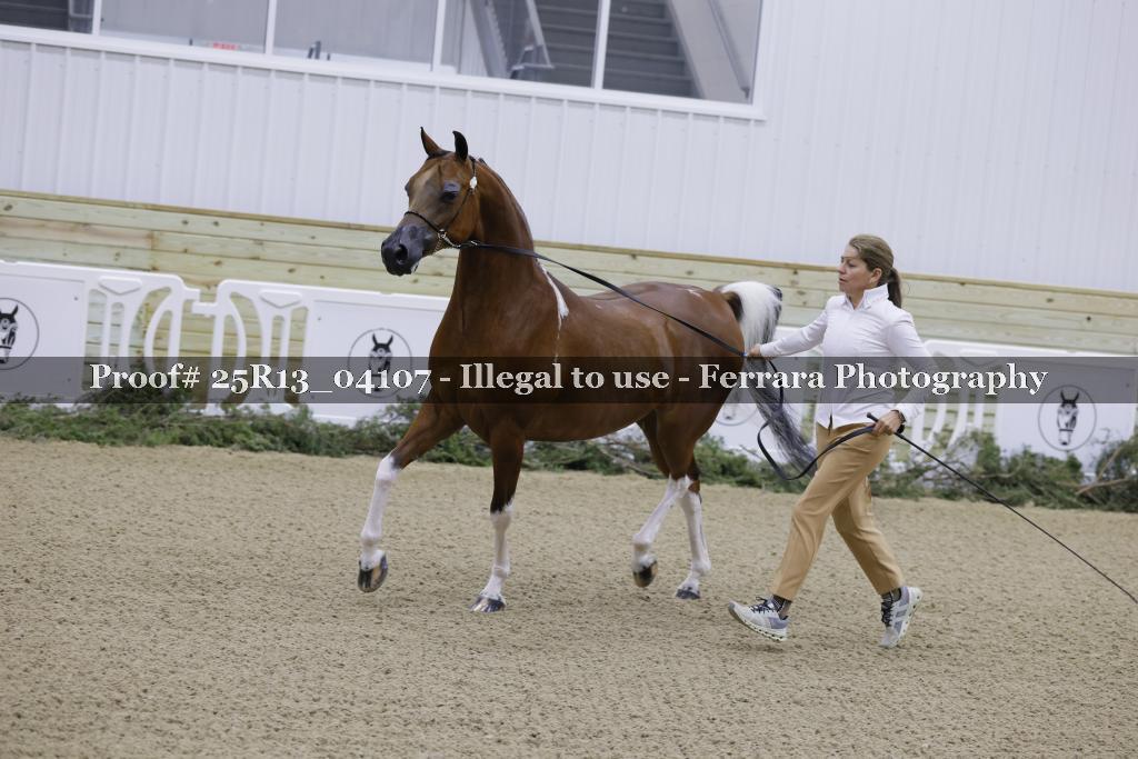 Proof Number 25R13_04107