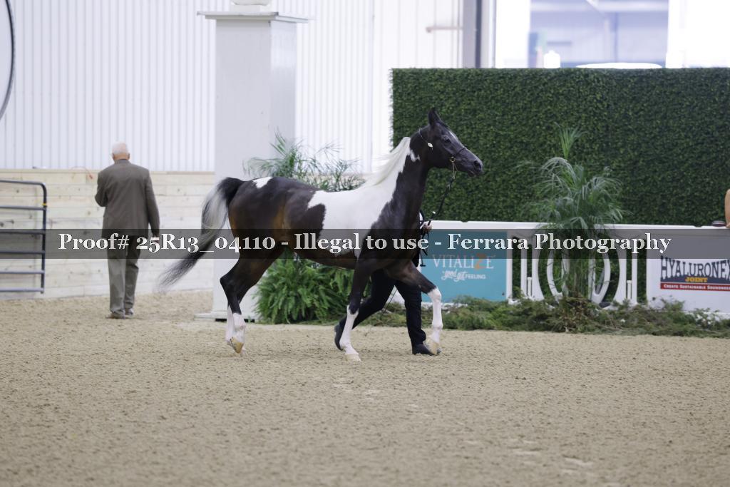 Proof Number 25R13_04110