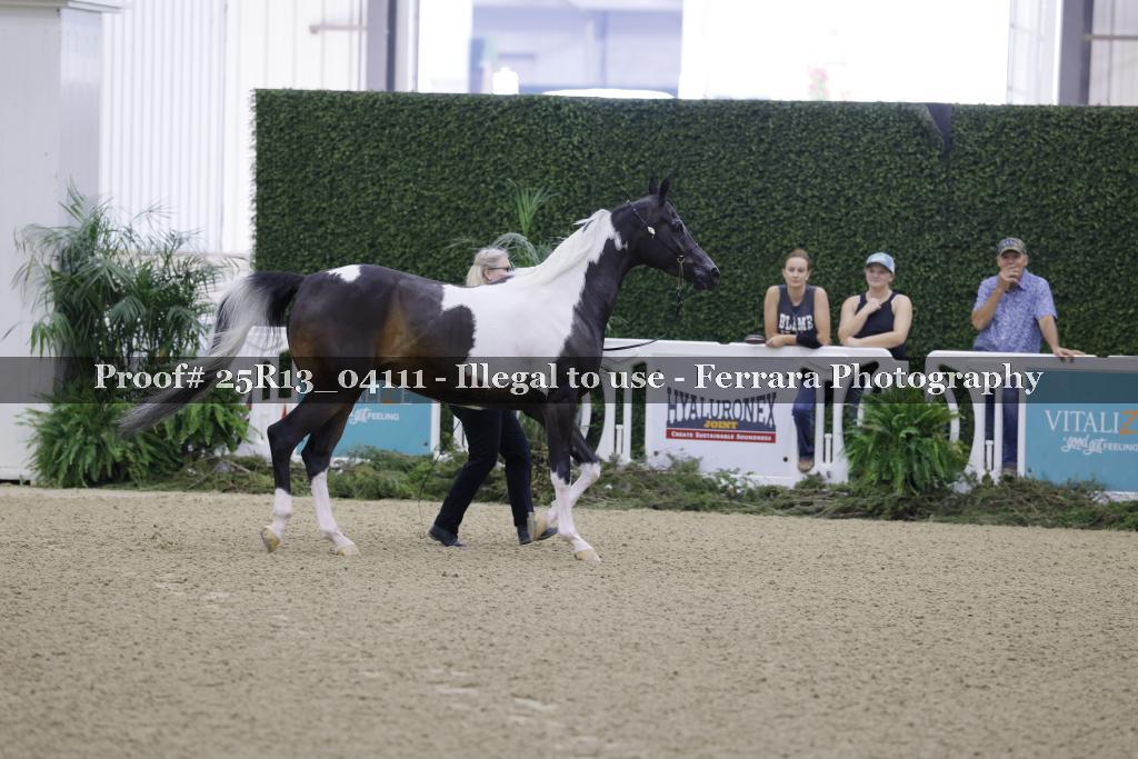 Proof Number 25R13_04111