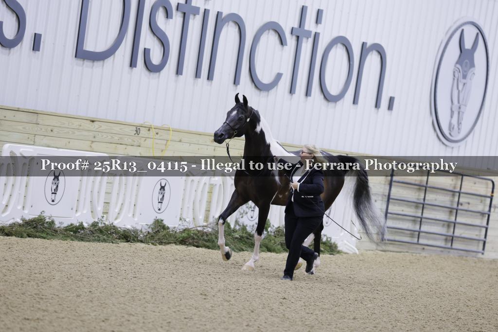 Proof Number 25R13_04115