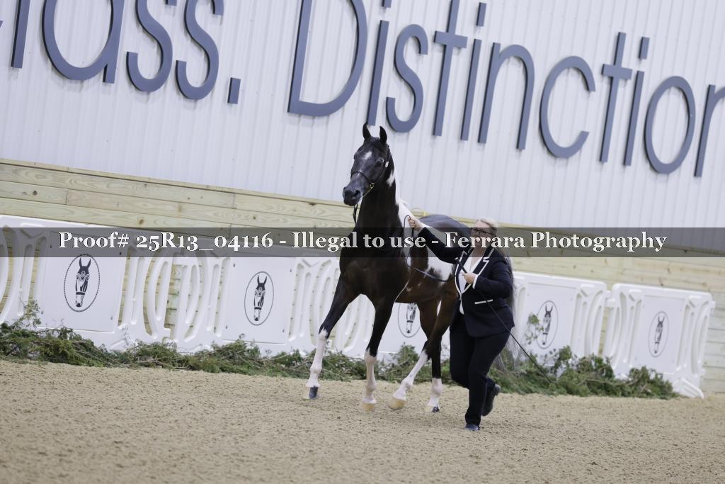 Proof Number 25R13_04116