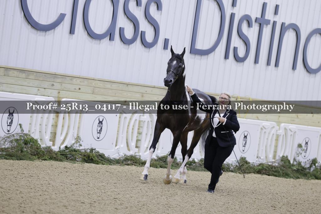 Proof Number 25R13_04117