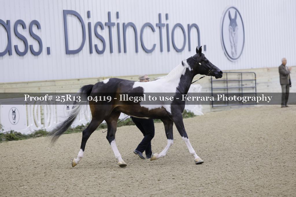 Proof Number 25R13_04119