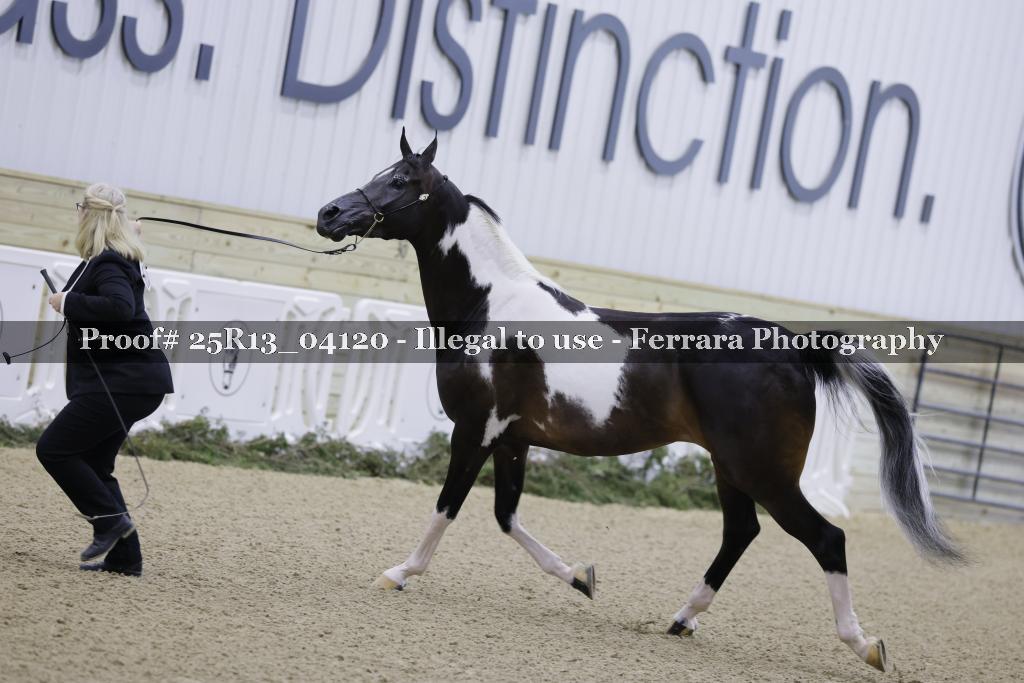 Proof Number 25R13_04120