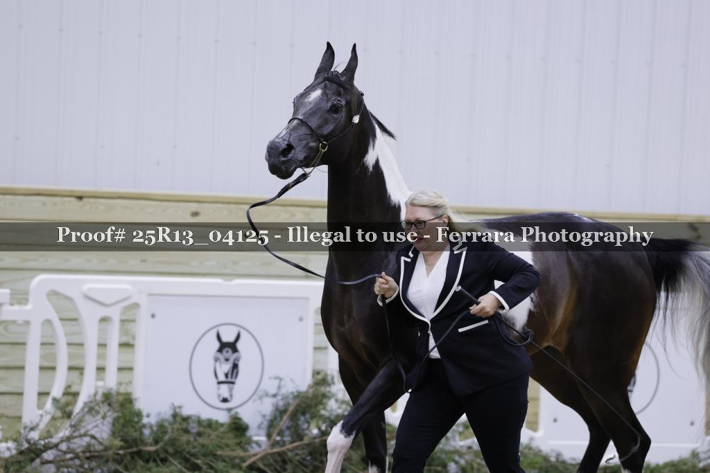 Proof Number 25R13_04125