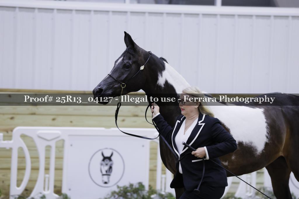 Proof Number 25R13_04127