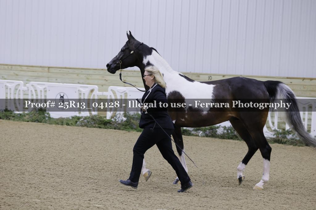 Proof Number 25R13_04128