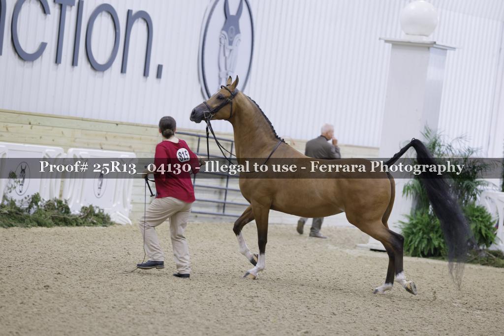 Proof Number 25R13_04130