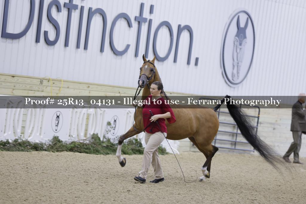 Proof Number 25R13_04131